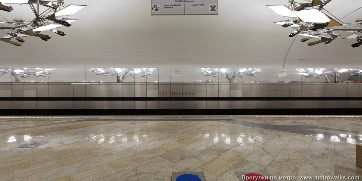 Фотография станции Тропарёво (Сокольническая линия, Москва). Поперечный вид.