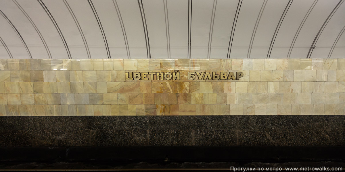 Фотография станции Цветной бульвар (Серпуховско-Тимирязевская линия, Москва). Путевая стена.