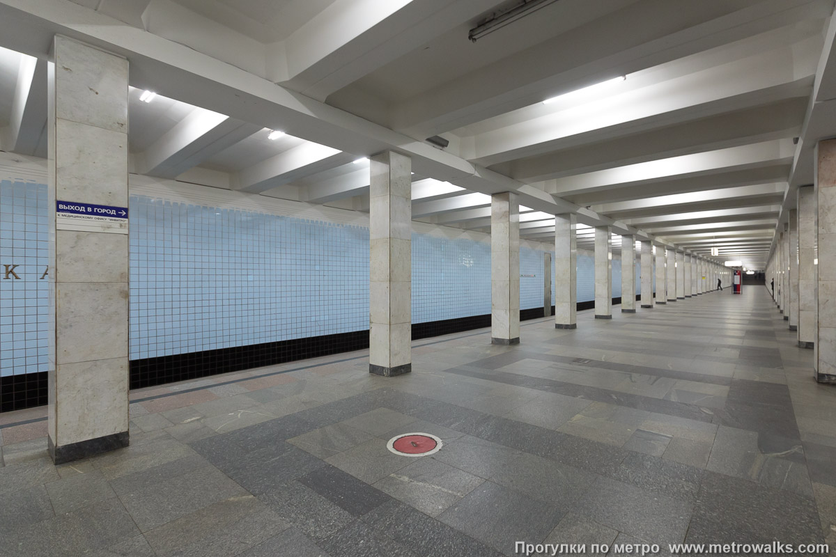 Фотография станции Войковская (Замоскворецкая линия, Москва). Вид по диагонали.