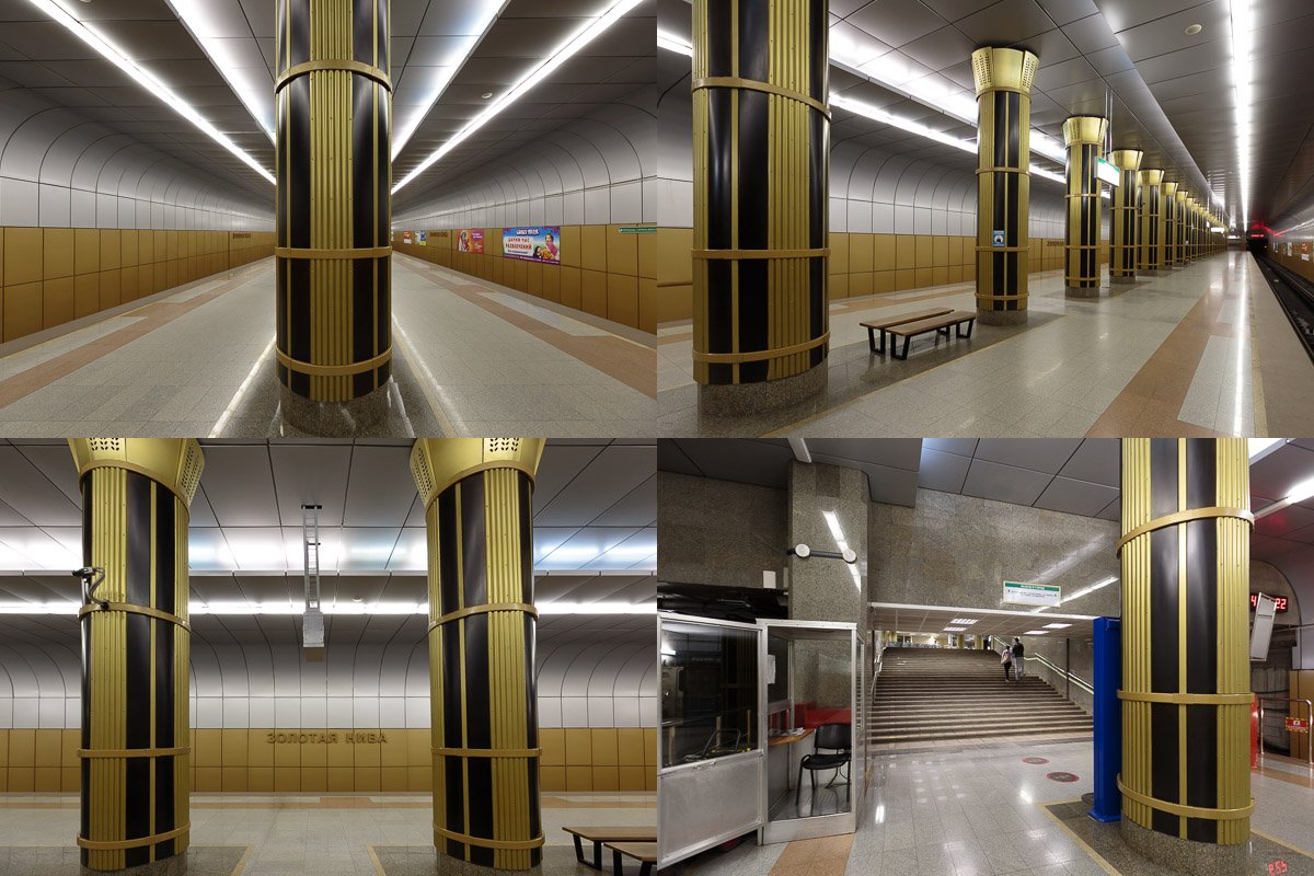 Золотая нива станция метро новосибирского метрополитена. Станция золотая нива новосибирск. Станция метро золотая нива новосибирск. Новосибирский метрополитен станция золотая нива. Метро золотая нива новосибирск.