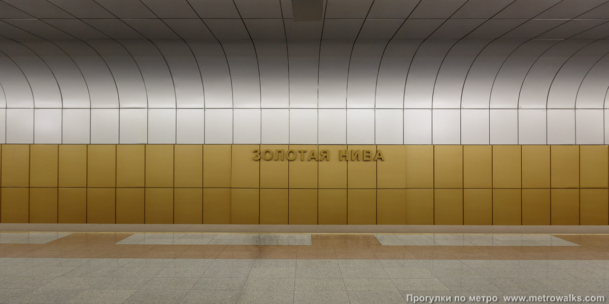 Фотография станции Золотая нива (Дзержинская линия, Новосибирск). Поперечный вид.