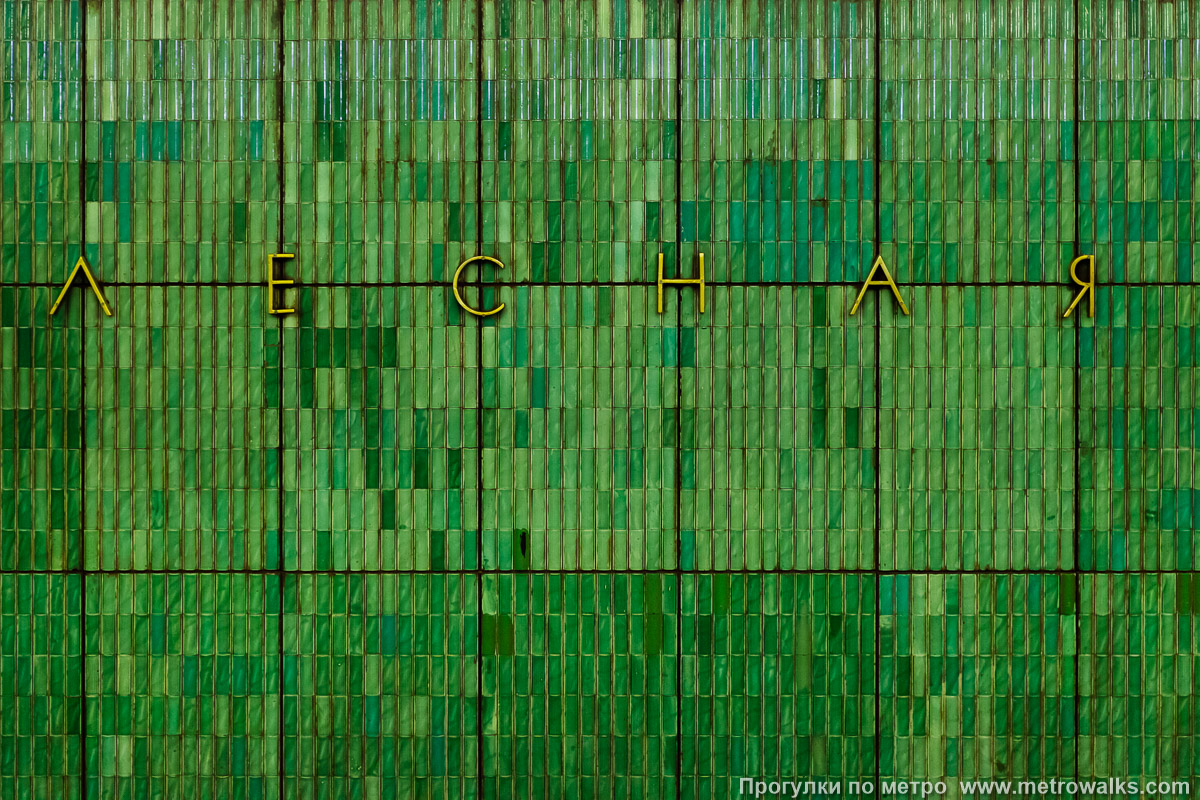 Фотография станции Лесная (Кировско-Выборгская линия, Санкт-Петербург). Название станции на путевой стене крупным планом.