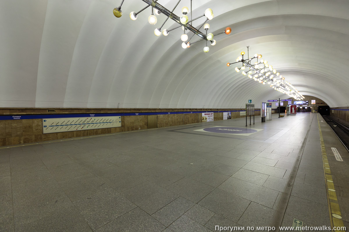 Фотография станции Озерки (Московско-Петроградская линия, Санкт-Петербург). Вид по диагонали.