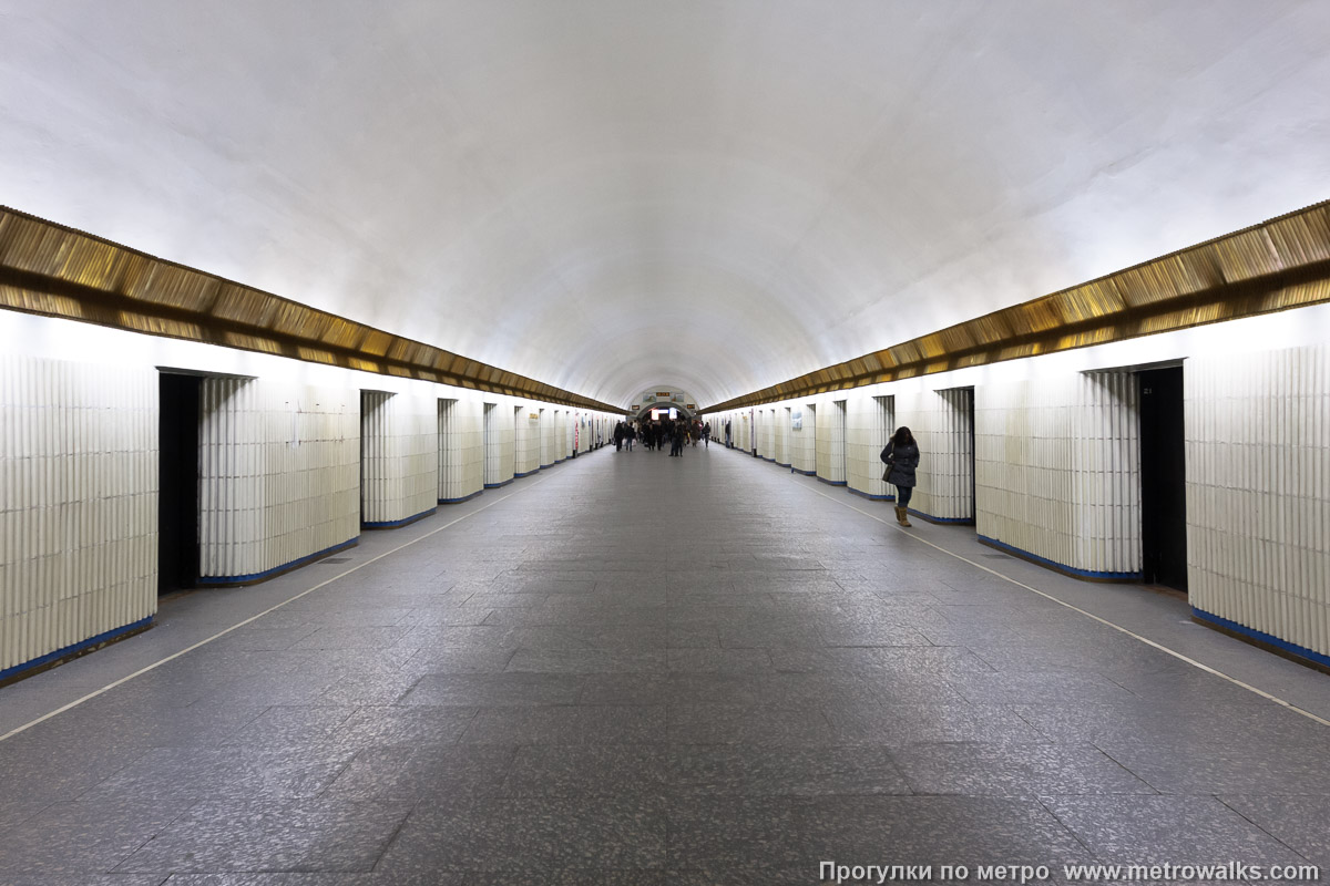 Петроградская метро. Станция Петроградская Петербургского метрополитена. Станция метро Петроградская Питер. Метро Петроградская внутри. Тупик метро Парнас.