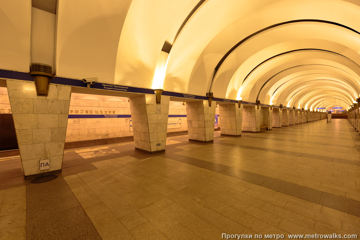 Фотография станции Проспект Просвещения (Московско-Петроградская линия, Санкт-Петербург). Вид по диагонали.