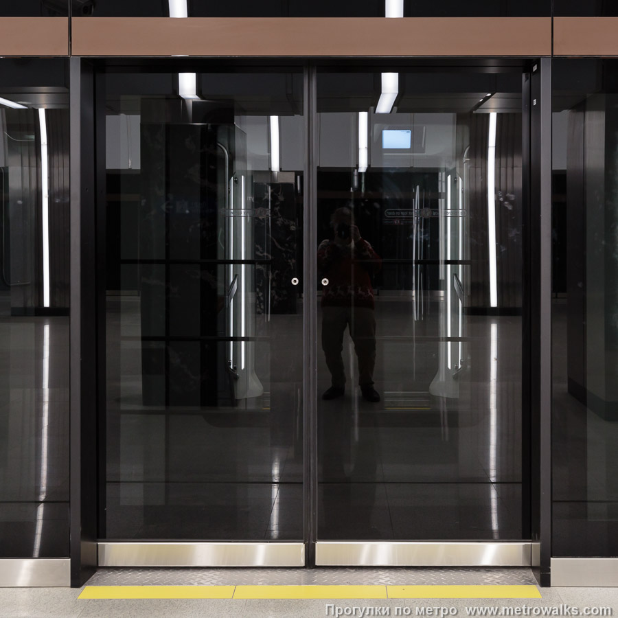 Фотография станции Путиловская (Красносельско-Калининская линия, Санкт-Петербург). Двери к поездам крупным планом. Сквозь стеклянные стены должен быть виден поезд, но на деле они вышли почти непрозрачными. Вы видите стоящий поезд за стеклом? А он там есть!